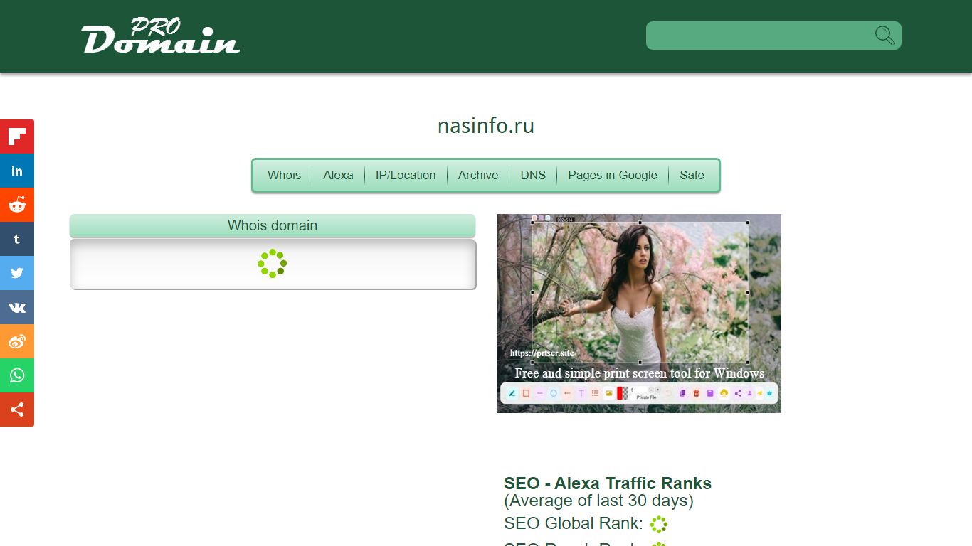 nasinfo.ru - prodomain.info
